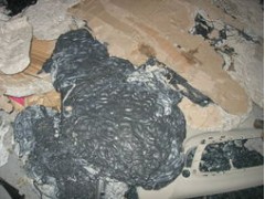 普陀区硅胶回收工业废塑料回收图3