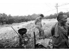 新桥镇CB回收pe回收图2