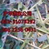 上海松江区电子废品回收公司思你所思想你所想