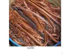 上海闸北区电子垃圾交投中心思你所思想你所想图3