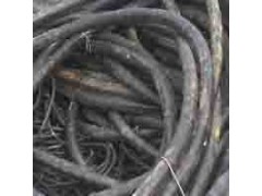 上海南汇区电子垃圾交投中心打造电子垃圾第一平台图2