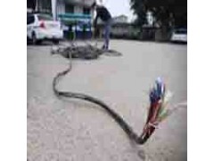 浦东区北蔡镇镀金软板回收-高频板图2