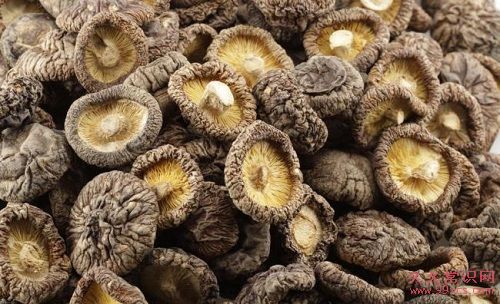 香菇的功效有哪些