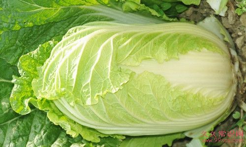 免疫力容易下降的原因  吃什么提高免疫力