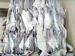 上海销毁公司 (27)