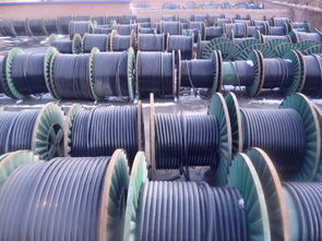 0b6f8e71e5fe8b37-03f9a1aead48bfc3-ba65c032cf6c4bea5a923f9b288f7e3b_i