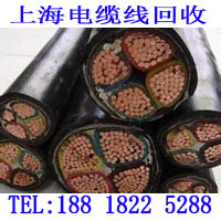 上海电缆电线回收 (337)