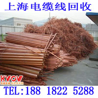 上海电缆电线回收 (869)