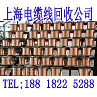 上海电缆电线回收 (760)