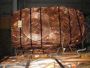 u=477419567,2099459487&fm=21&gp=0