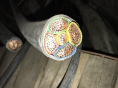 闵行区二手废品回收有限公司成立图2