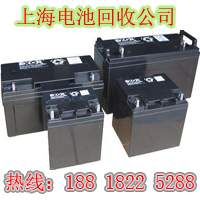 上海电瓶回收 (269)
