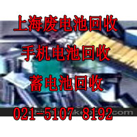 上海电瓶回收 (358)