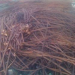 电缆线回收公司 (8)