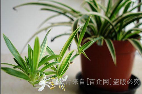 u=3390564553,348298973&fm=27&gp=0