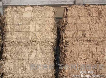 废纸回收 保密文件销毁 (47)