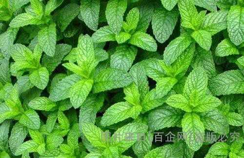 u=3156254871,4273815104&fm=27&gp=0