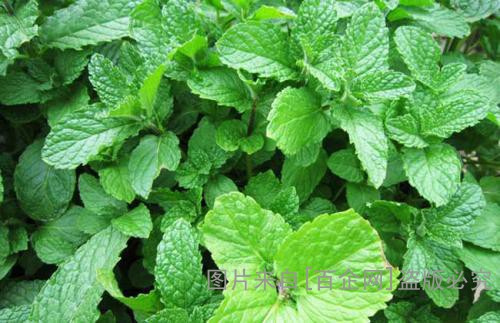 u=3566824534,3146485178&fm=27&gp=0