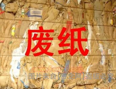 上海废纸回收 (92)