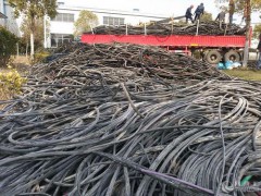 杨浦区电线电缆回收价钱废电缆回收公司图2