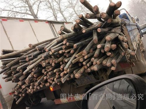 废旧电缆回收 (19)