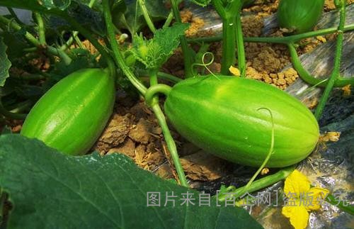 u=348894706,3210892474&fm=26&gp=0