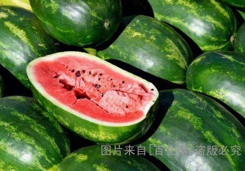 u=788242389,3645822988&fm=11&gp=0