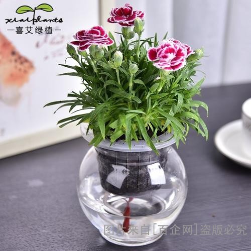 u=585258393,3138294211&fm=15&gp=0