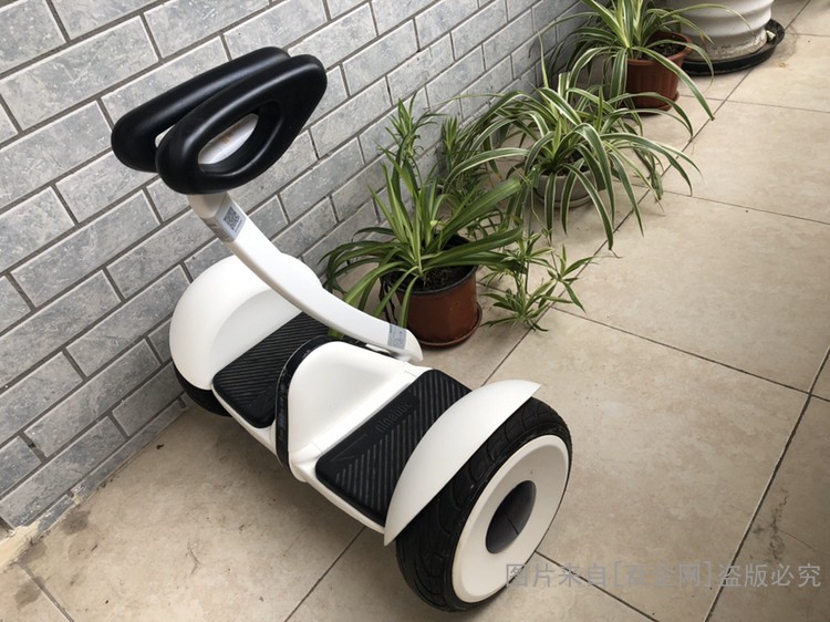 平衡车回收 (145)