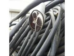 ​【废品变宝！】承包工厂废品回收，助力绿色环保，财富与责任并重图6