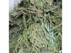 苏州虎丘：打造线路板回收新标杆，循环经济风尚图5